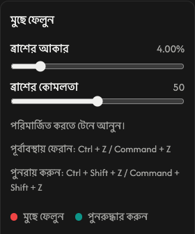 মোছার বিকল্প: ব্রাশের আকার ও কোমলতা।