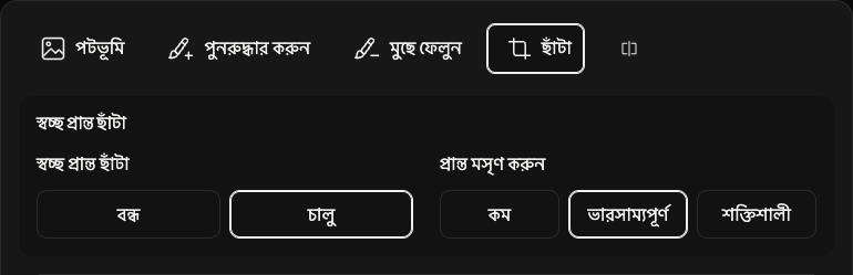 ছাঁটাইয়ের বিকল্প: স্বচ্ছ প্রান্ত ও কিনারা মসৃণ করা।
