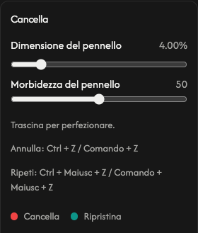 Opzioni gomma: dimensione e morbidezza del pennello.