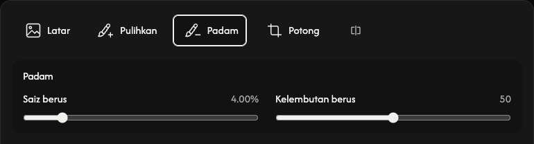 Pilihan pemadam: saiz dan kelembutan berus.