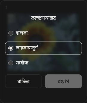 একটি ছবির সংকোচন সেটিংস: হালকা, ভারসাম্যপূর্ণ ও সর্বোচ্চ মাত্রা এবং বাতিল ও প্রয়োগের বোতাম।