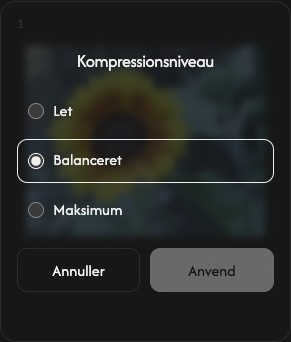 Komprimeringsindstillinger for ét billede med mildt, afbalanceret og maksimalt niveau samt annuller og anvend.