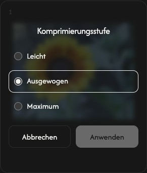 Komprimierungseinstellungen eines Bildes mit leichter, ausgewogener und maximaler Stufe sowie Abbrechen und Anwenden.