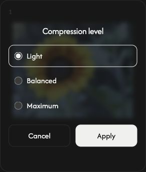 One image’s compression settings with Light, Balanced, Maximum, Cancel, and Apply.