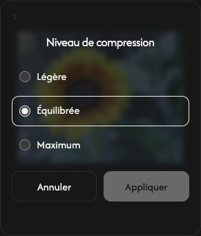Réglages de compression d’une image avec les niveaux léger, équilibré et maximal, et les commandes annuler et appliquer.