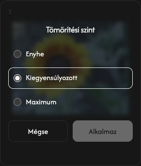 Egy kép tömörítési beállításai enyhe, kiegyensúlyozott és maximális szinttel, valamint megszakítás és alkalmazás gombbal.