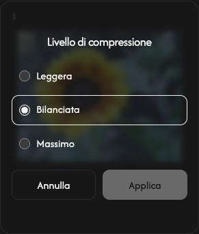 Impostazioni di compressione di un’immagine con i livelli leggero, bilanciato e massimo, e i comandi annulla e applica.