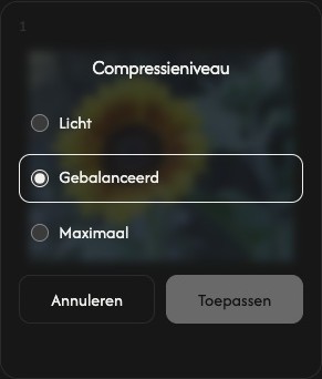 Compressie-instellingen voor één afbeelding met Light, Balanced, Maximum, Cancel en Apply.