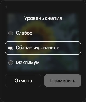 Настройки сжатия одного изображения с вариантами Light, Balanced, Maximum, Cancel и Apply.