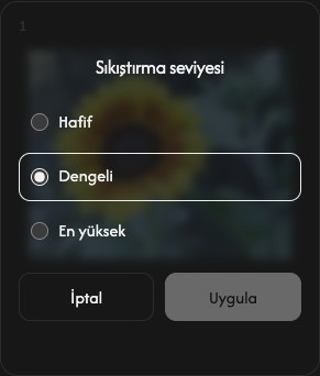 Light, Balanced, Maximum, Cancel ve Apply seçenekleriyle tek bir görselin sıkıştırma ayarları.