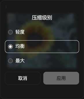 单张图片的压缩设置,包含Light、Balanced、Maximum、Cancel和Apply。