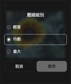 單張圖片的壓縮設定,包含Light、Balanced、Maximum、Cancel和Apply。