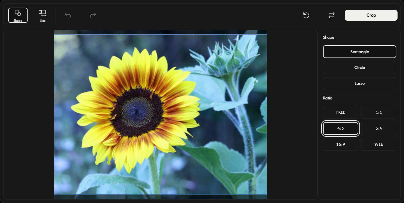 Crop with a photo, a rectangular selection, and the Shape panel showing Rectangle, Circle, Lasso, and aspect ratios with 4:3 selected.