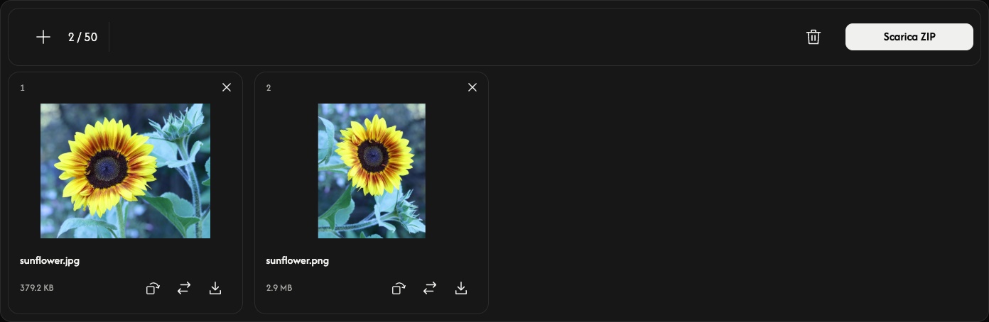 Immagine in WebP con anteprime di girasoli JPEG e PNG, schede numerate e comandi per le immagini.
