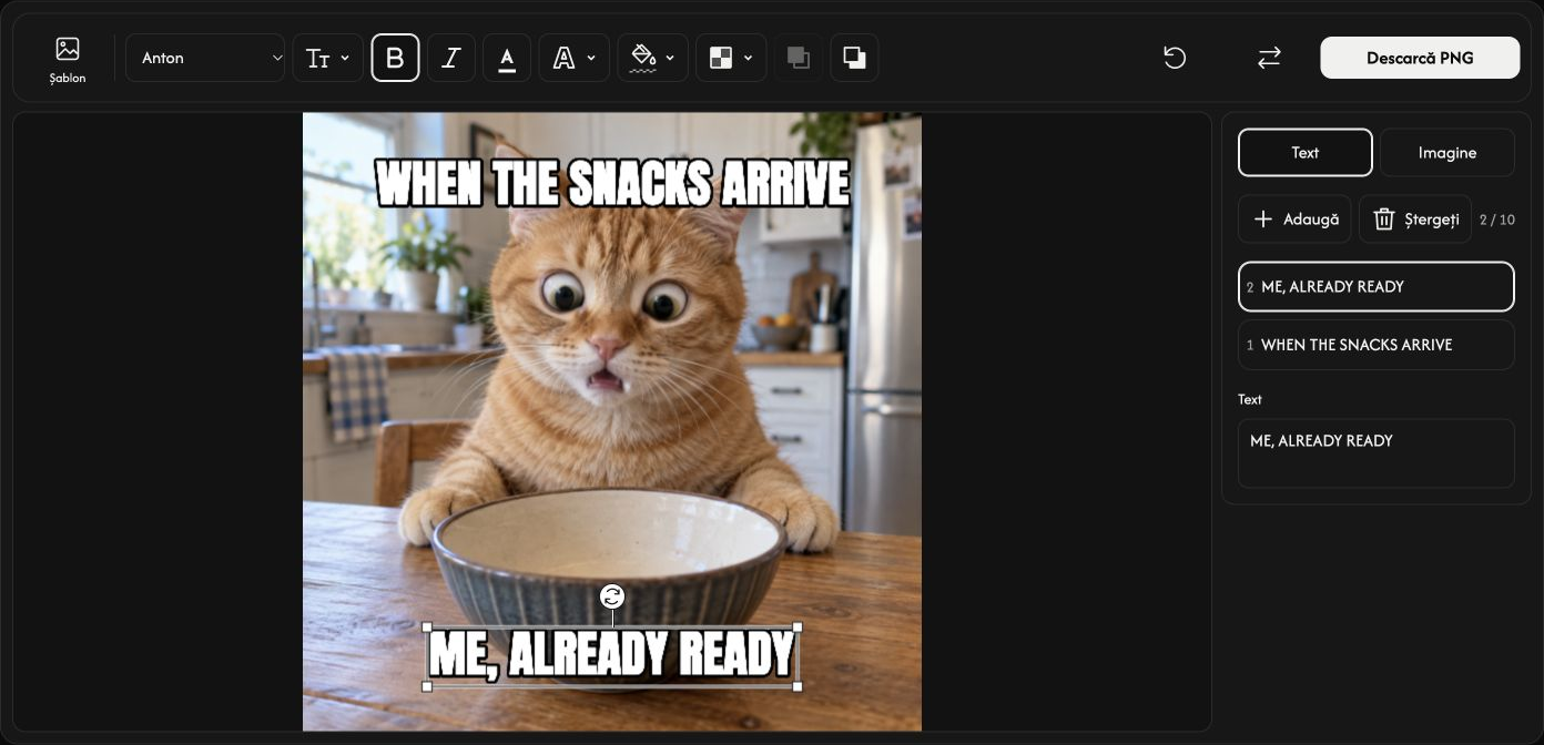 Meme Maker cu un text selectat, comenzi de editare și un buton de descărcare.