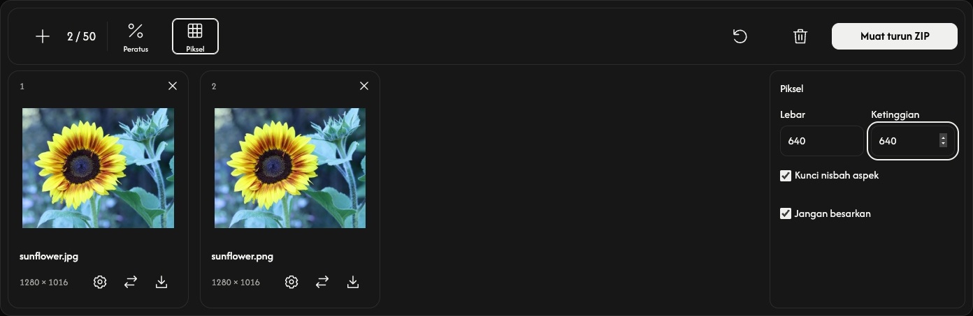 Resizer dengan tetapan Piksel umum, lebar dan tinggi, kunci nisbah aspek serta pilihan untuk menghalang pembesaran.