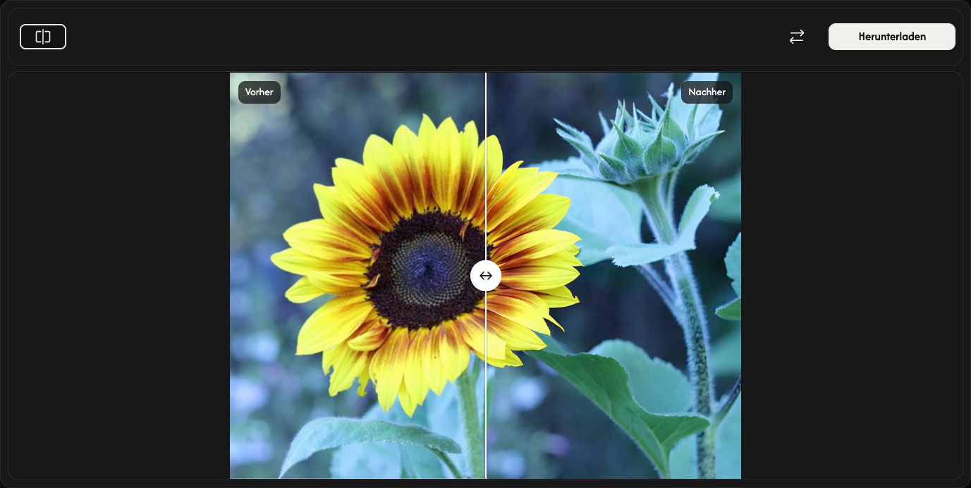 AI Upscaler zeigt das Original und das vergrößerte Bild mit verschiebbarer Vergleichslinie und Download-Steuerelementen.